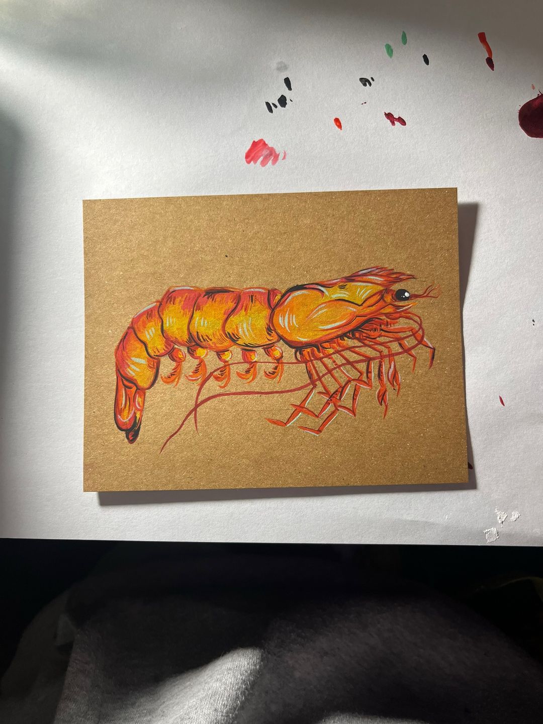 Shrimp Study